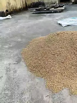 Snapshot of sweet_suman chatting on 18, 1, 2025 sweet suman online show from 18, 1, 2025