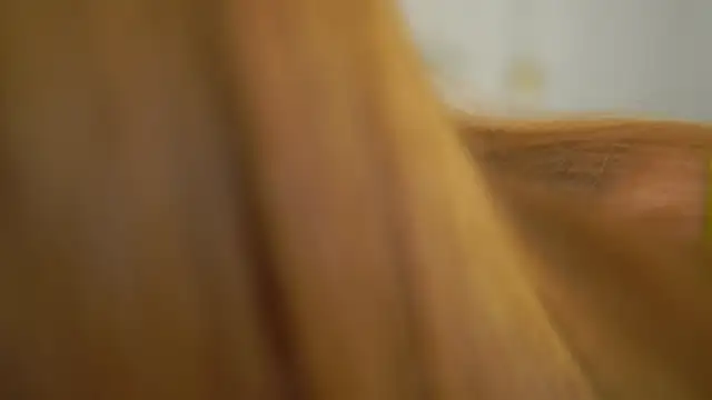 dietmountaindew  online show from 30, 4, 2026