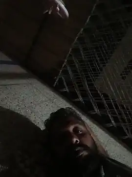 carria homes online show from 10, 10, 2025