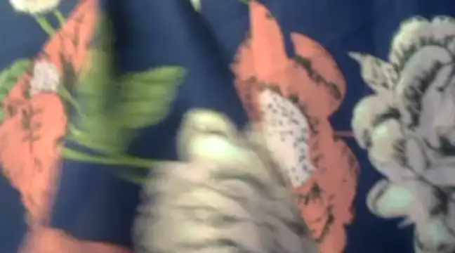 Snapshot of Naughty_Nayra chatting on 3, 2, 2025 Naughty Nayra online show from 3, 2, 2025