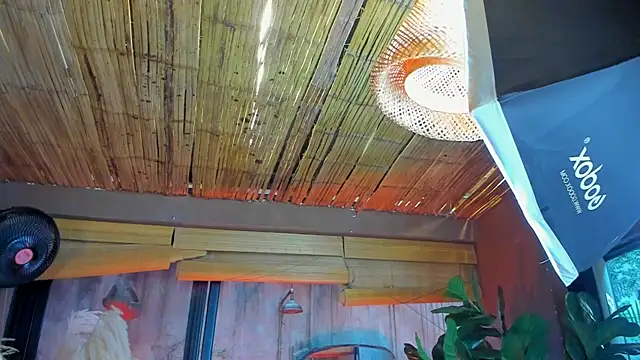 Snapshot of MarcoVitto chatting on 18, 11, 2025 MarcoVitto online show from 18, 11, 2025