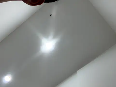 Snapshot of Sexocokin chatting on 16, 12, 2025 Sexocokin online show from 16, 12, 2025