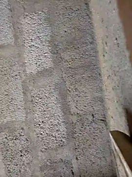 ruthaa online show from 28, 2, 2026