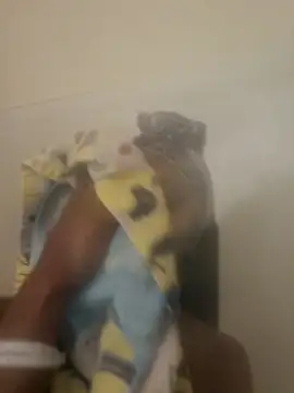 Snapshot of Looking4Jerries chatting on 31, 12, 2024 Looking4Jerries online show from 31, 12, 2024