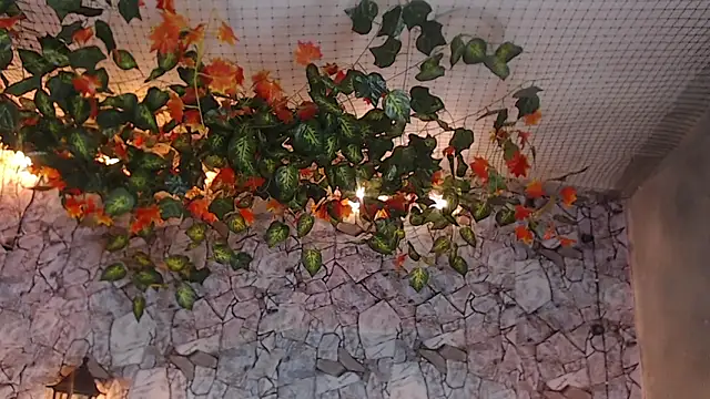 Lancelot Benwick online show from 7, 1, 2025