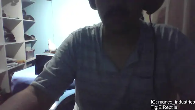 Elrep tile online show from 7, 2, 2026