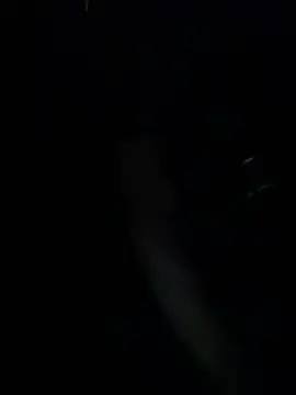 yanlizkurt01 online show from 13, 7, 2026