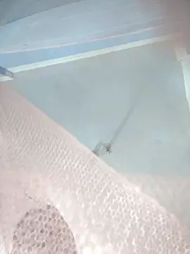 124pakhi online show from 12, 1, 2026