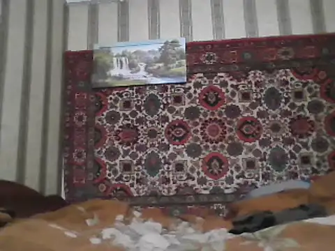 Snapshot of AlferezzSolvajo chatting on 3, 2, 2025 AlferezzSolvajo online show from 3, 2, 2025