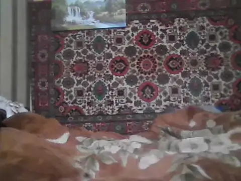 Snapshot of AlferezzSolvajo chatting on 8, 2, 2025 AlferezzSolvajo online show from 8, 2, 2025