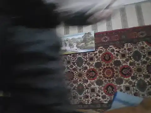 Snapshot of AlferezzSolvajo chatting on 12, 2, 2025 AlferezzSolvajo online show from 12, 2, 2025