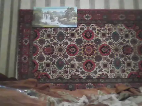 Snapshot of AlferezzSolvajo chatting on 13, 9, 2025 AlferezzSolvajo online show from 13, 9, 2025