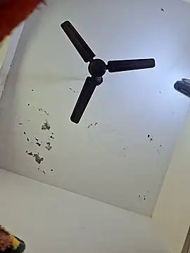 Snapshot of Tanu-Call-Me chatting on 18, 1, 2025 Tanu-Call-Me online show from 18, 1, 2025