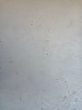 Pooja cut online show from 2, 10, 2025