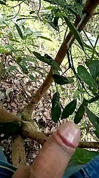 Snapshot of mmarvis_za78_93_21cm chatting on 5, 2, 2025 mmarvis za78 93 21cm online show from 5, 2, 2025