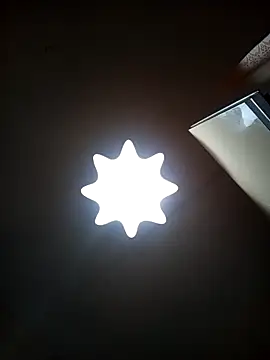 Lauren Amabel online show from 31, 1, 2026