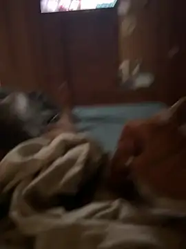 Snapshot of ferdi190 chatting on 11, 10, 2025 ferdi190 online show from 11, 10, 2025