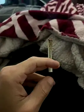 Snapshot of BCFZD chatting on 4, 12, 2025 BCFZD online show from 4, 12, 2025