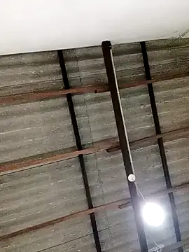 Queen princes online show from 23, 2, 2025