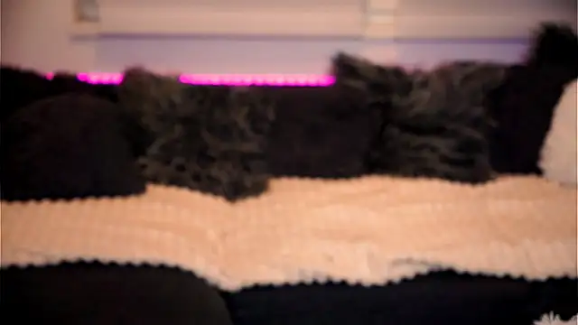 sweet rapunzell online show from 6, 2, 2026