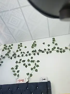 Snapshot of miaa--pervert chatting on 15, 1, 2025 miaa--pervert online show from 15, 1, 2025