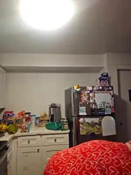 CorgiGodez98 online show from 12, 4, 2026