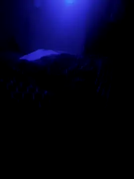 Snapshot of Raziv_komal143 chatting on 26, 2, 2025 Raziv komal143 online show from 26, 2, 2025