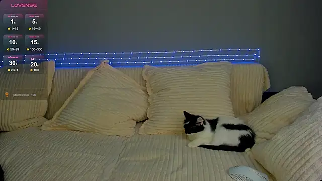 kimberly bohnes online show from 2, 3, 2025