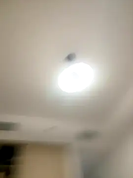 Snapshot of SexySophiaax chatting on 20, 10, 2025 SexySophiaax online show from 20, 10, 2025