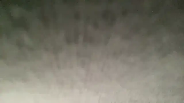 ryan 28747 online show from 1, 11, 2025