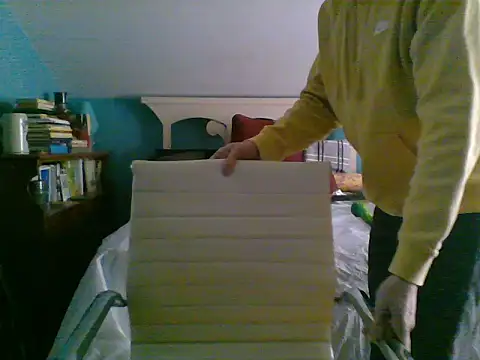 Prolapse Pig online show from 3, 2, 2025