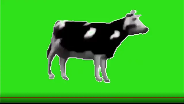 Snapshot of test_FramedTishri_m chatting on 13, 5, 2026 test FramedTishri m online show from 13, 5, 2026