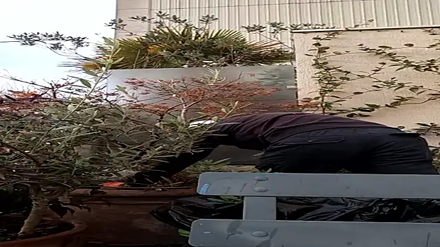 Snapshot of Vyda4 chatting on 17, 11, 2025 Vyda4 online show from 17, 11, 2025