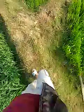 Snapshot of Extrembox5 chatting on 26, 1, 2025 Extrembox5 online show from 26, 1, 2025