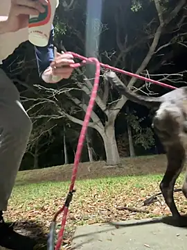 Snapshot of sexyhotstud12 chatting on 18, 2, 2025 sexyhotstud12 online show from 18, 2, 2025