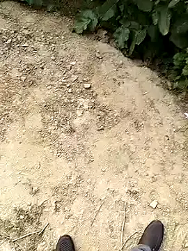 Snapshot of xmanrawan2 chatting on 30, 1, 2025 xmanrawan2 online show from 30, 1, 2025