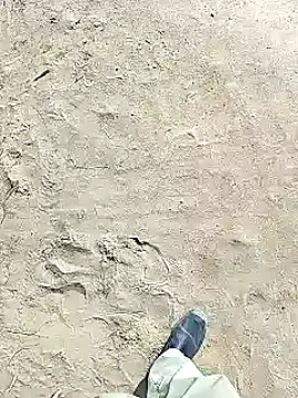 Snapshot of xmanrawan2 chatting on 2, 2, 2025 xmanrawan2 online show from 2, 2, 2025