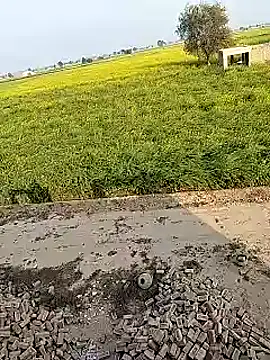 Snapshot of xmanrawan2 chatting on 2, 2, 2025 xmanrawan2 online show from 2, 2, 2025