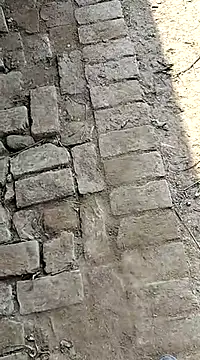 Snapshot of xmanrawan2 chatting on 3, 2, 2025 xmanrawan2 online show from 3, 2, 2025