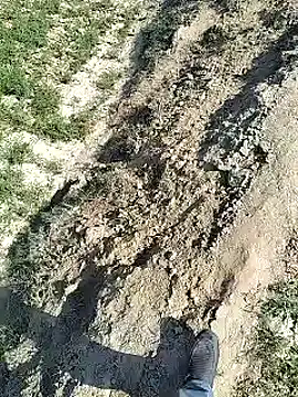 Snapshot of xmanrawan2 chatting on 4, 2, 2025 xmanrawan2 online show from 4, 2, 2025