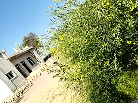 Snapshot of xmanrawan2 chatting on 6, 2, 2025 xmanrawan2 online show from 6, 2, 2025