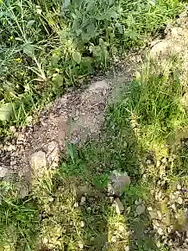 Snapshot of xmanrawan2 chatting on 17, 2, 2025 xmanrawan2 online show from 17, 2, 2025