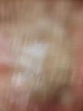 Snapshot of xmanrawan2 chatting on 20, 2, 2025 xmanrawan2 online show from 20, 2, 2025