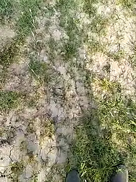 Snapshot of xmanrawan2 chatting on 14, 3, 2025 xmanrawan2 online show from 14, 3, 2025