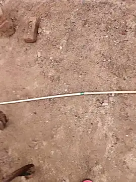 Snapshot of xmanrawan2 chatting on 9, 10, 2025 xmanrawan2 online show from 9, 10, 2025