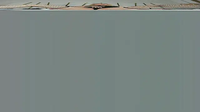 violet gray  online show from 13, 9, 2025