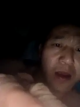 wadmma online show from 28, 2, 2026