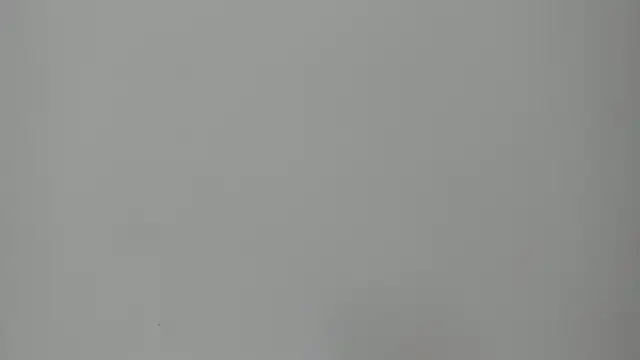 amanda29 online show from 16, 4, 2026