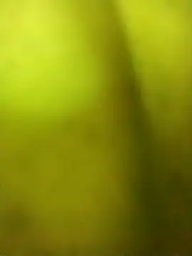 Snapshot of alicnonave chatting on 27, 11, 2025 alicnonave online show from 27, 11, 2025