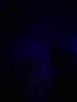 buckincowboy online show from 13, 2, 2025